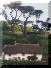 English Cottage