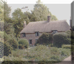 Thomas Hardy's Cottage